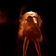 Illustration for article titled Breaking Down The New Doctor Who Trailer Shot By Shot